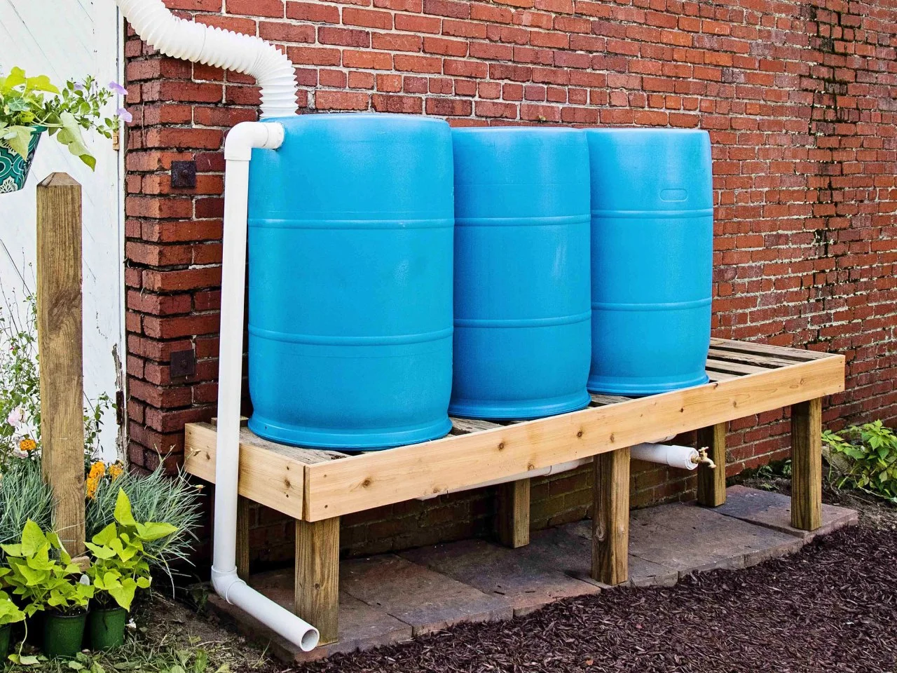 Rain barrels in garden