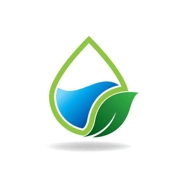 Water conservation gardening